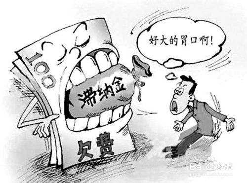 社保滯納金怎么算？ 第1張
