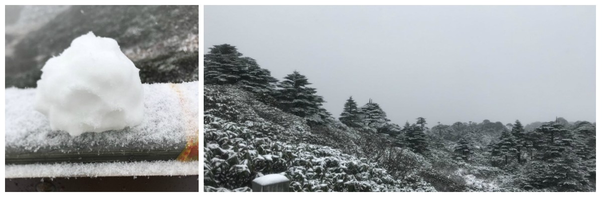 風(fēng)花雪月瑞方情，萬水千山大理行 第6張