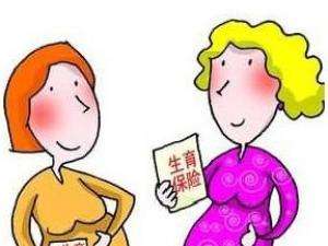 生育保險(xiǎn)怎么購買？ 第1張