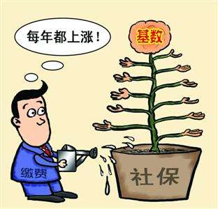 個人和單位繳納的社保，待遇會有什么區(qū)別？ 第1張