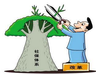 個人繳納社保和公司繳納的社保有何不同？ 第1張