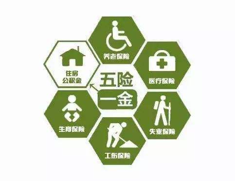公司給員工繳納五險(xiǎn)一金是按照什么比例繳納的？ 第1張