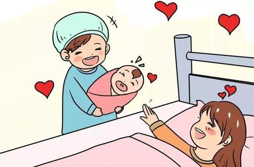 生育保險如何繳？怎么報？ 第1張